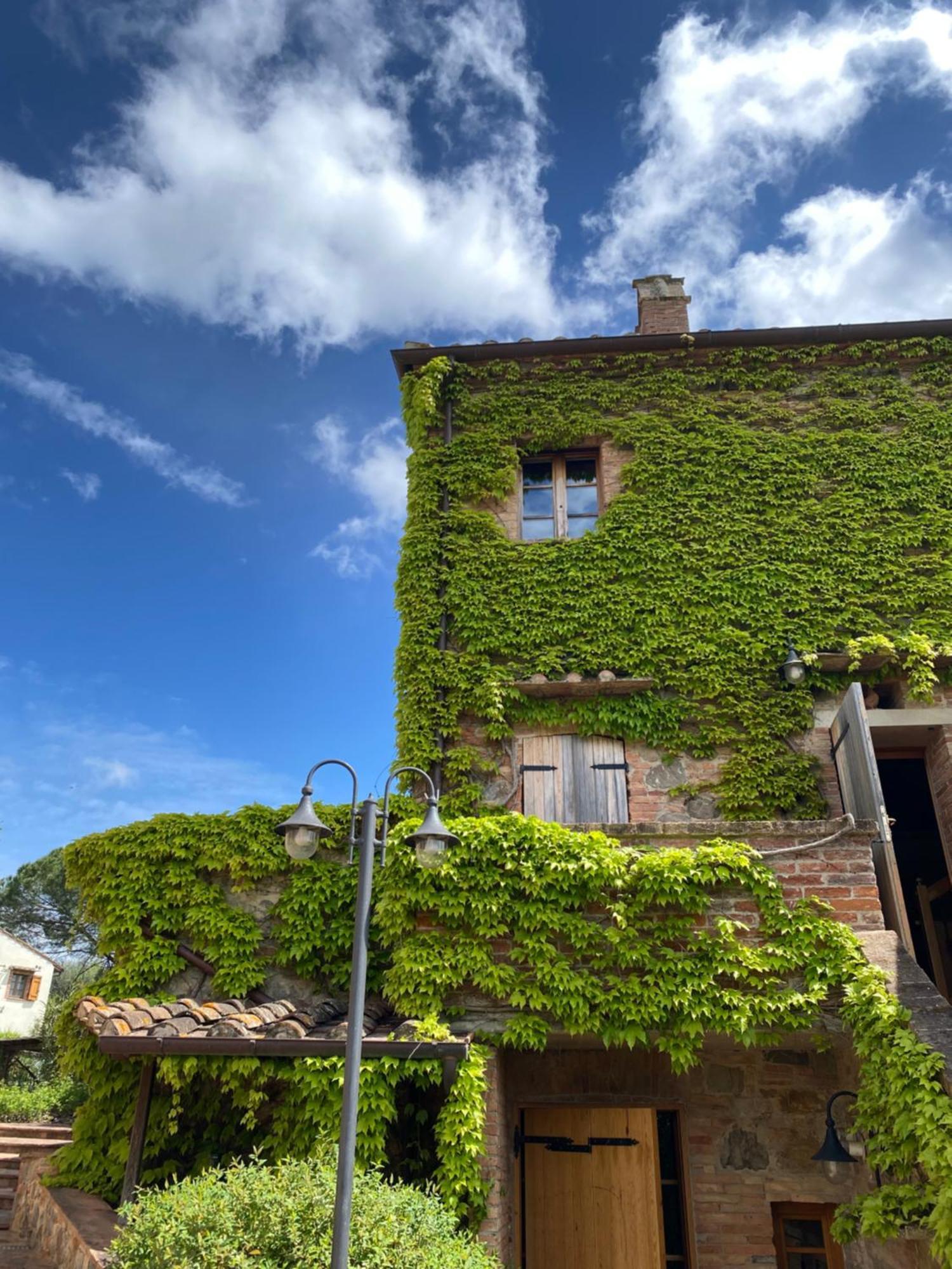 Agriturismo Borgo 7 Tigli - Apt 1 Montepulciano Exterior foto